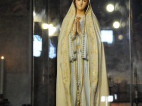 ALBA 10
